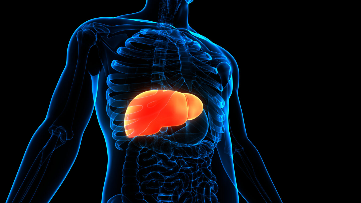 New USC study shows immigrant adults with liver cancer have higher ...